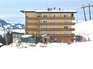 Hotel - Skihotel - Wildschönau - Kitzbühel - Alpengasthof Panorama