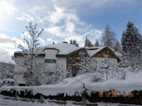 Aarons Appartements - Seefeld - Ferienwohnung Seefeld - Appartement Seefeld - Hallenbad - Haustiere