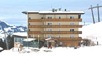 Hotel - Skihotel - Wildschönau - Kitzbühel - Alpengasthof Panorama